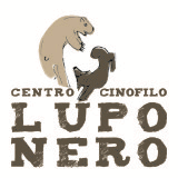centrocinofiloluponero.com