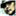psevikul.net