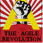 theagilerevolution.com