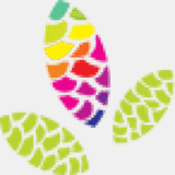 g.graphicconcept.com