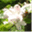 gite-sanson.com