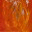 arisingphoenix.wordpress.com