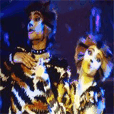 jellicles-musicalworld.de.tl