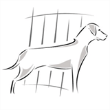 hundeschutzgitter.de