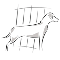 hundeschutzgitter.de