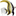 foofish.org