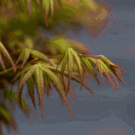 book1.drujnaya-semya.ru