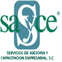 consultoria-capacitacion.com