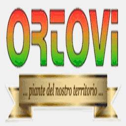 ortovi.com