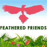 feathersinfo.com
