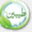 tayyebin.net