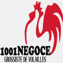 1001negoce.com