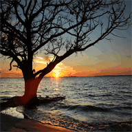 coastalatlantictravel.com