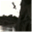 theprimalchallenge.wordpress.com