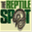 thereptilespot.com