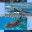 thewhalesharkphilippines.wordpress.com