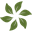 nancyd.net