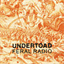 undertoad.bandcamp.com