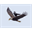 hasib.com.sa
