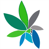 codes-cam.org