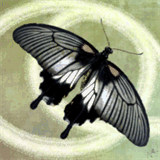 nashvilleestatesales.net