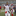 steviejohnson.weebly.com