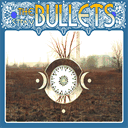 thestraybullets.com