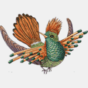 designingforperformance.com