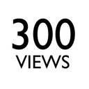 300views.com