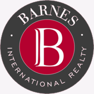 bdinsights.com