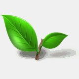 lxcqw.com