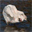grainesidees.over-blog.com