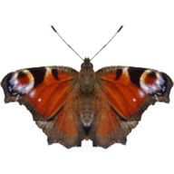 itheria.com