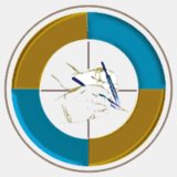 converanalitica.com.ar