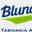 bluviaggi.com