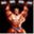 101bodybuilding.com