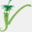 veginrome.org