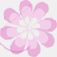 curious-soapmaker.com