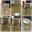 dauduashop.wordpress.com