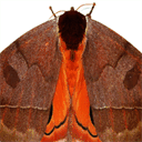 pixmosaic.com