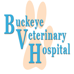 veterinariannwohio.com