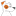 condocentral.net