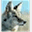 ecowildlifesolutions.com
