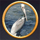penaud.org