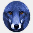 bluefox.at