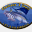 cholencoholbox.com
