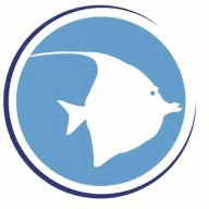 bluelinedatasolutions.com