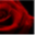 thetangoconnection.com