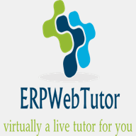 erpwebtutor.com