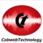 cwt.ie